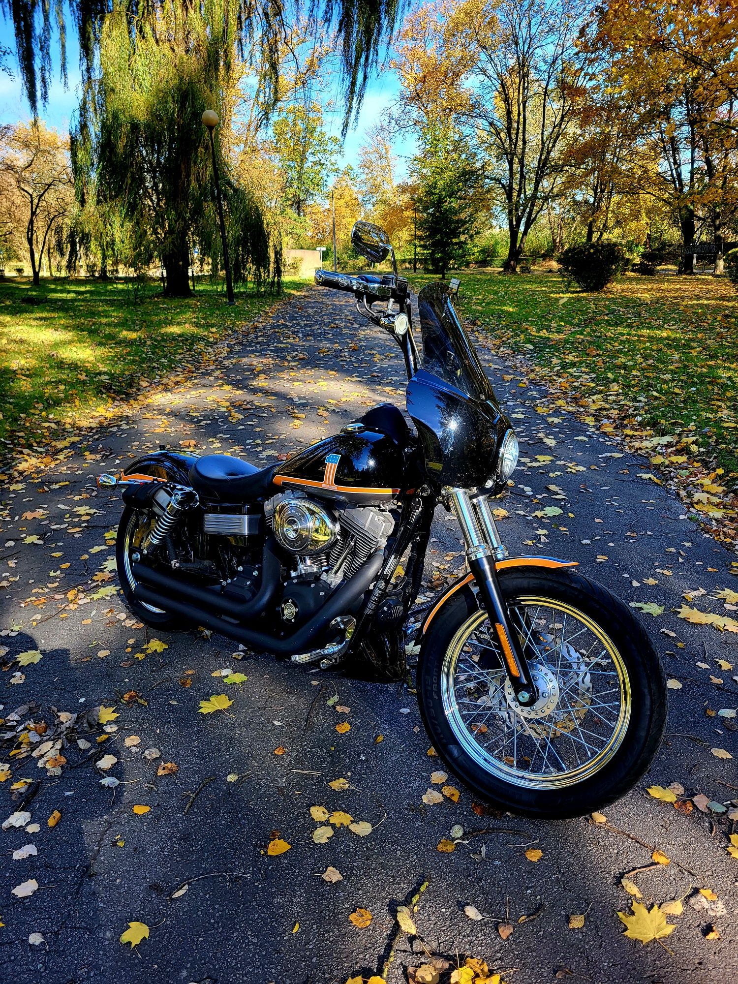 Harley Davidson Street Bob 1450