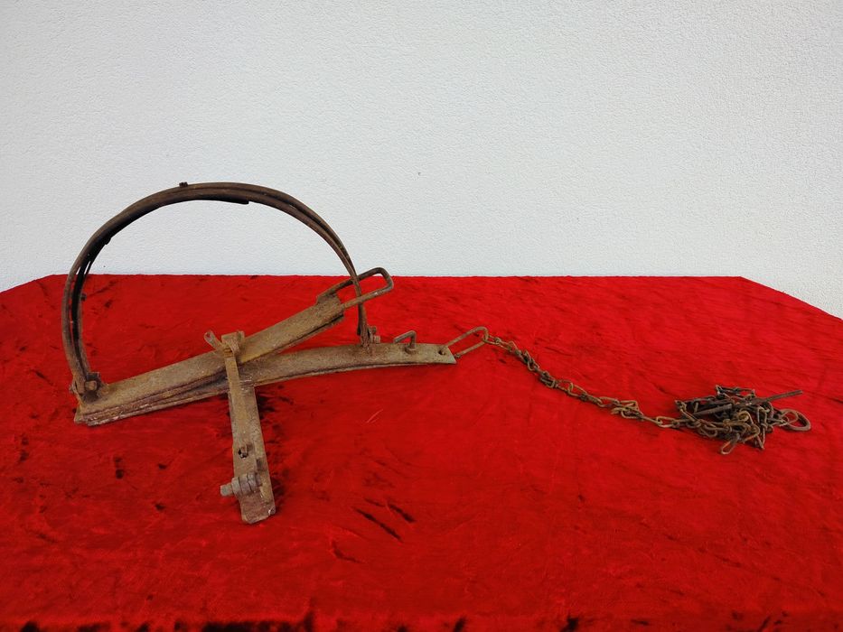 Stare zabytkowe sidła żelazne – kolekcjonerskie