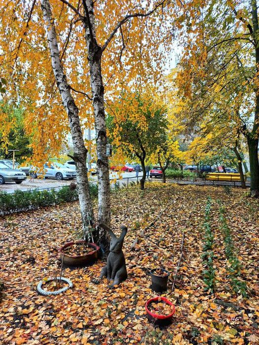 Оренда 2 кімнатної на Космосі