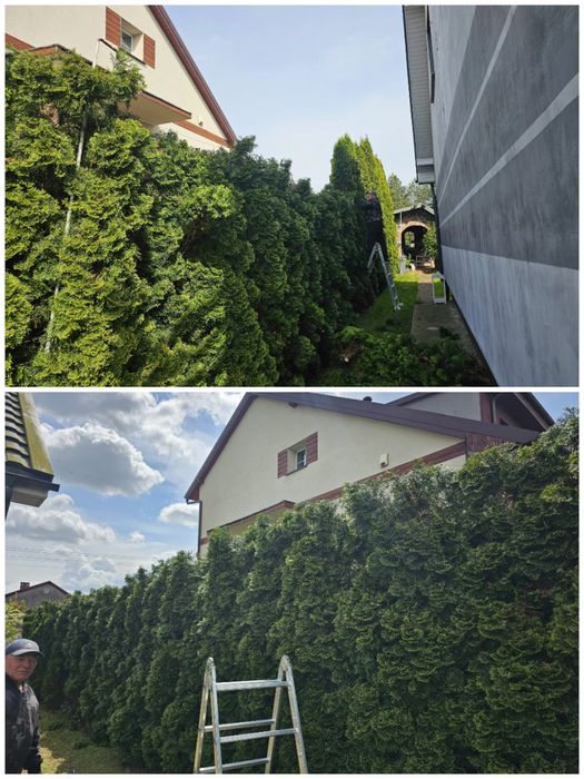 Glebogryzarka separacyjna,glebogryzarka zwykly, skopanie dzialki