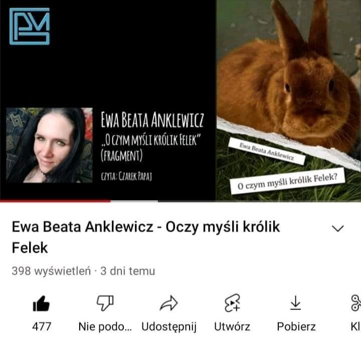 O czym myśli królik Felek?Na faktach Wyprzdaz CHARYTATYWNA