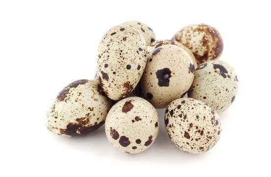 Ovos de codorniz