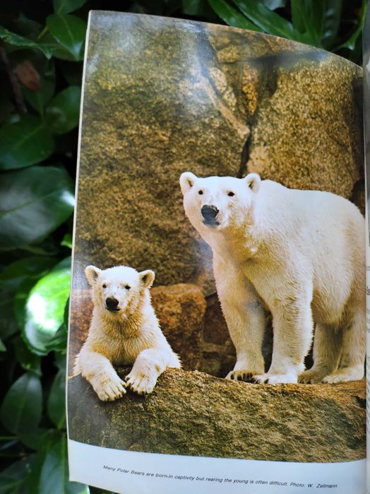 Berlin Zoo - Guide to the Berlin Zoological Garden64398289011075123