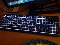 Razer ornata v3 x