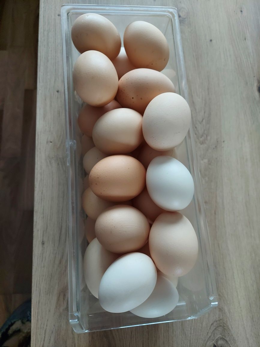 Mam na sprzedaż jajka.Świeże z wolnego wybiegu