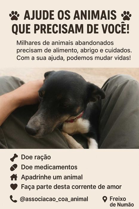 Olá bom dia venho por  aqui a pedir uma ajuda para os nossos patudos