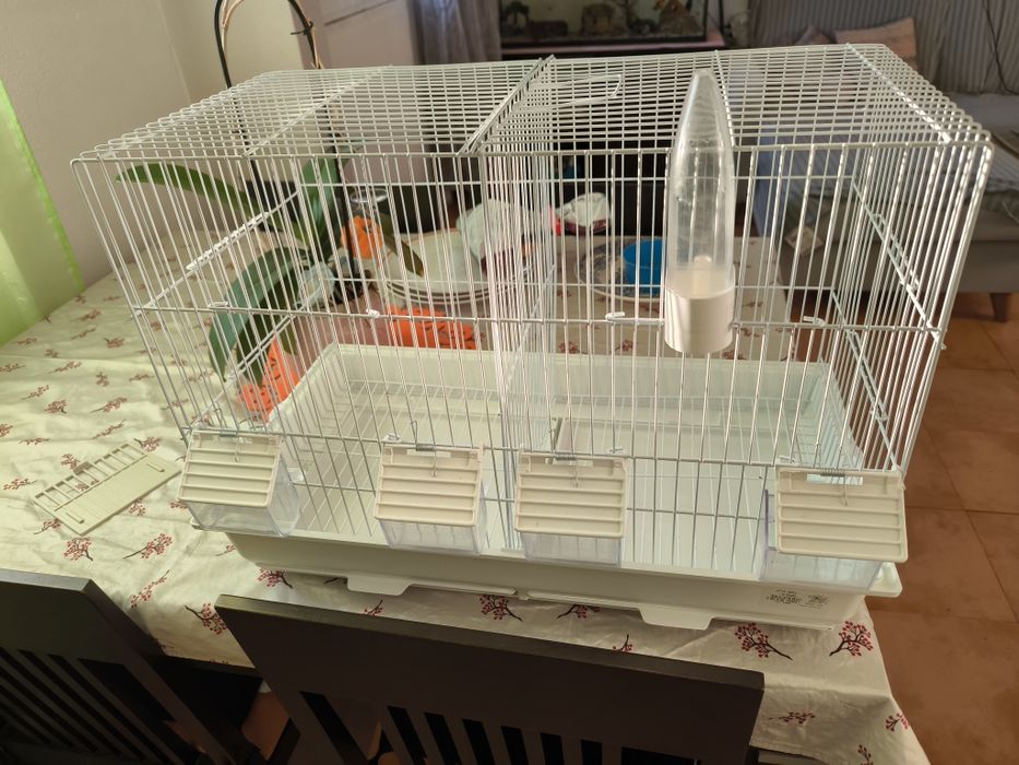Vendo gaiola nova