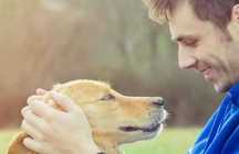 Pet Sitting e Dog Walking