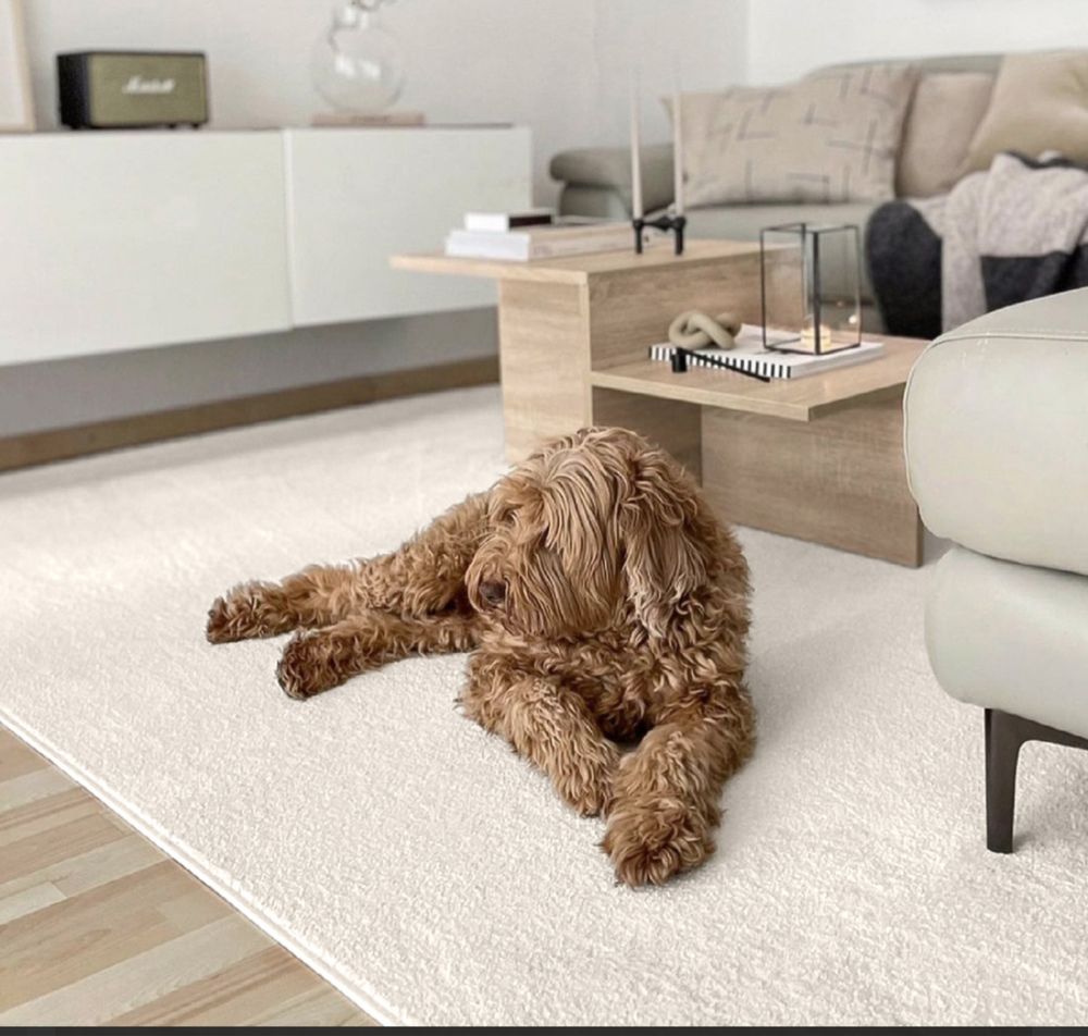 Dywan nowy minimalistyczny bezowy ecru kremowy 160x240