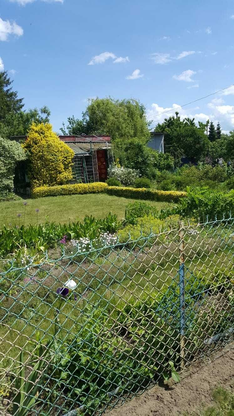 Ogródek działkowy TAMEL