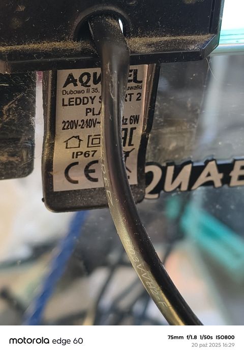 Sprzedam małe akwarium