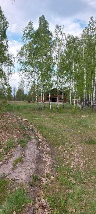 Іванківська ОТГ, панський маєток з озерами і ділянкою 4.50 га.