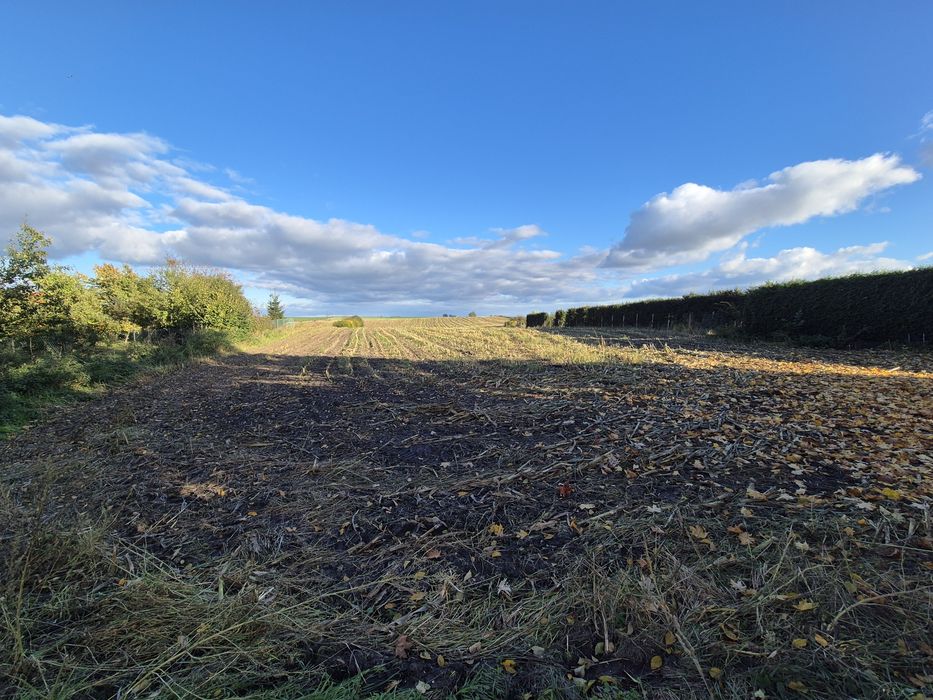 Działka zagrodowa z pozwoleniem  na budowę  Krześnica
