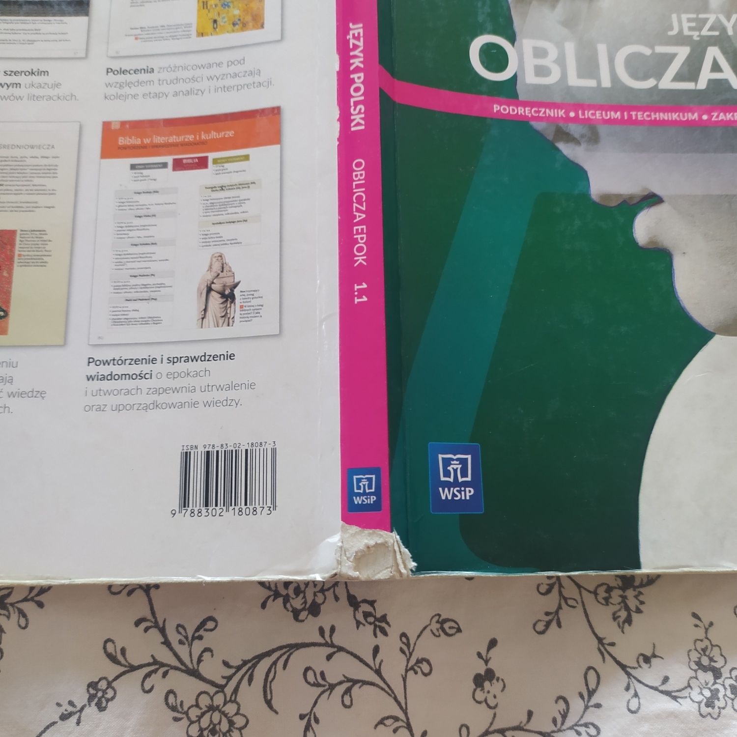 Podręcznik do języka polskiego, klasa 1