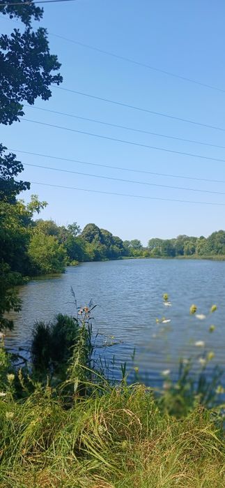 Продам   будинок