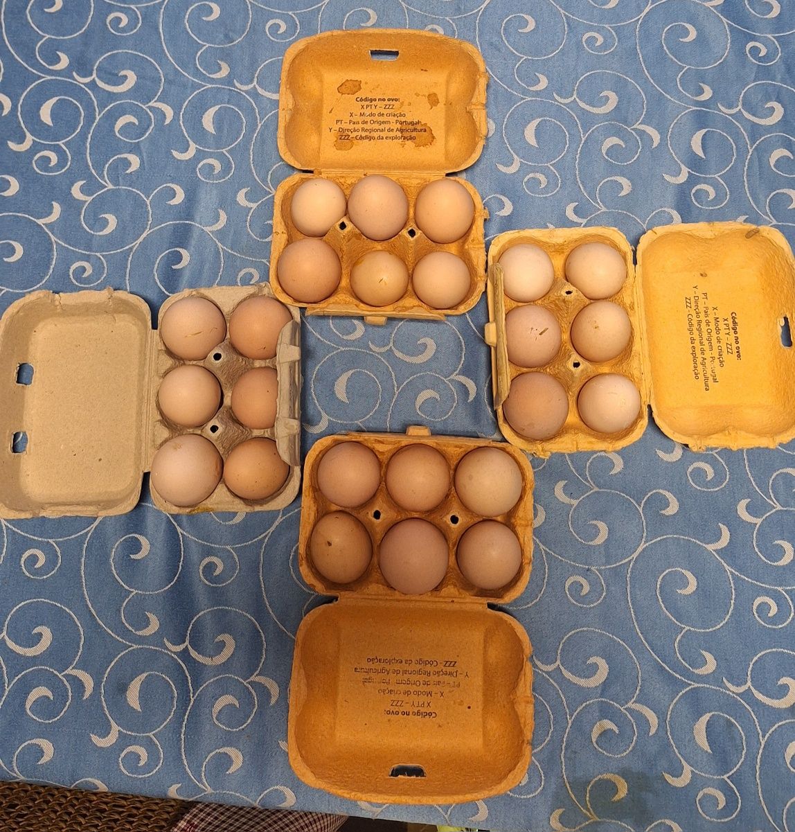 Ovos de Galinha Caseiros