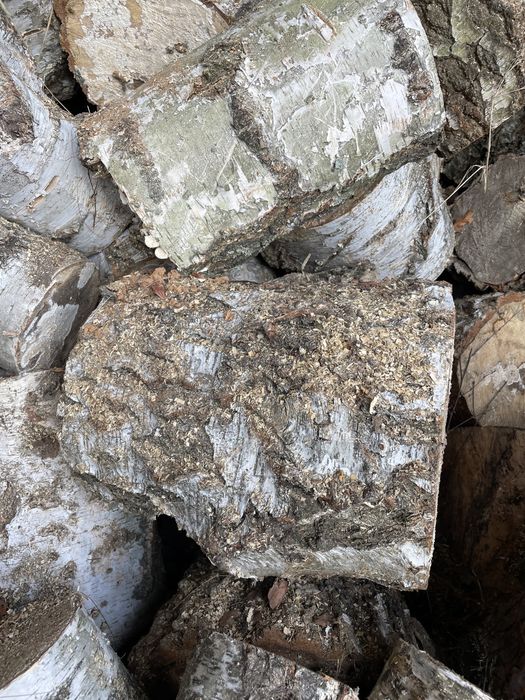 Drewno kominkowe suche Brzoza