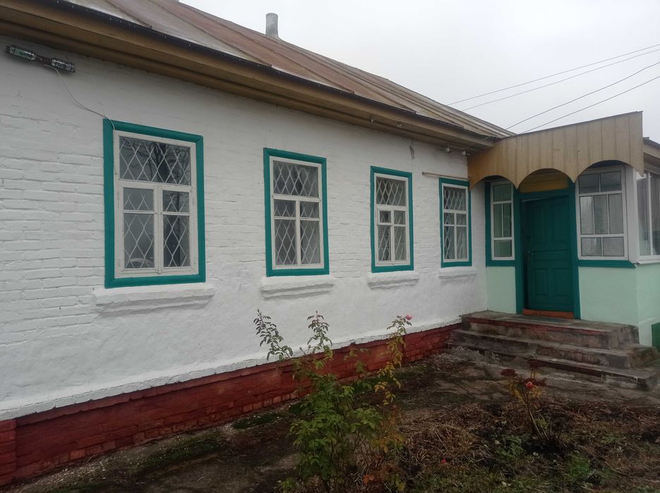 Капітальний будинок в с. Товстоліс 8 км від Чернігова