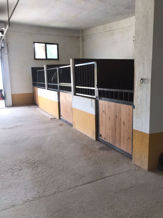 Boxes disponiveis para cavalos