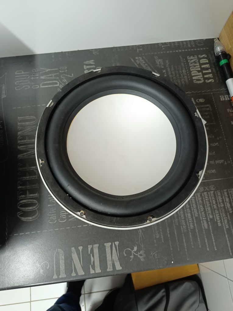 Głośnik 12" YDHA-B300