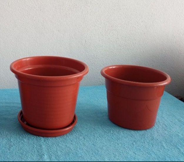 Vasos para plantas de médio porte