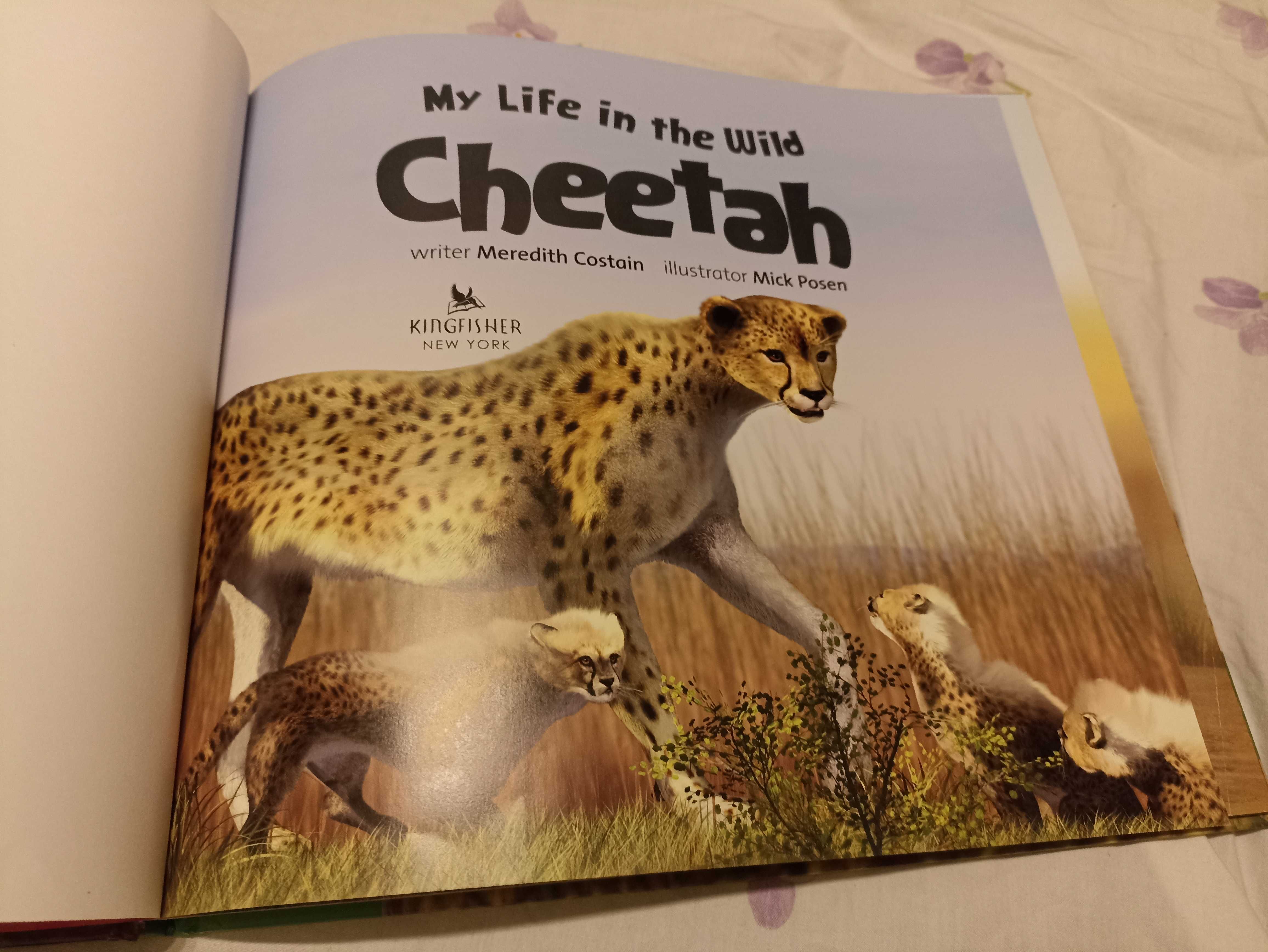 Книжка english cheetah wild life про диких тварин