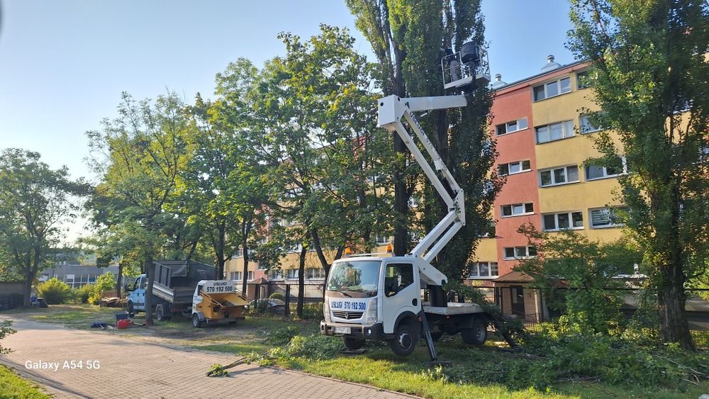 Wycinanie drzew przycinanie pielęgnacja
