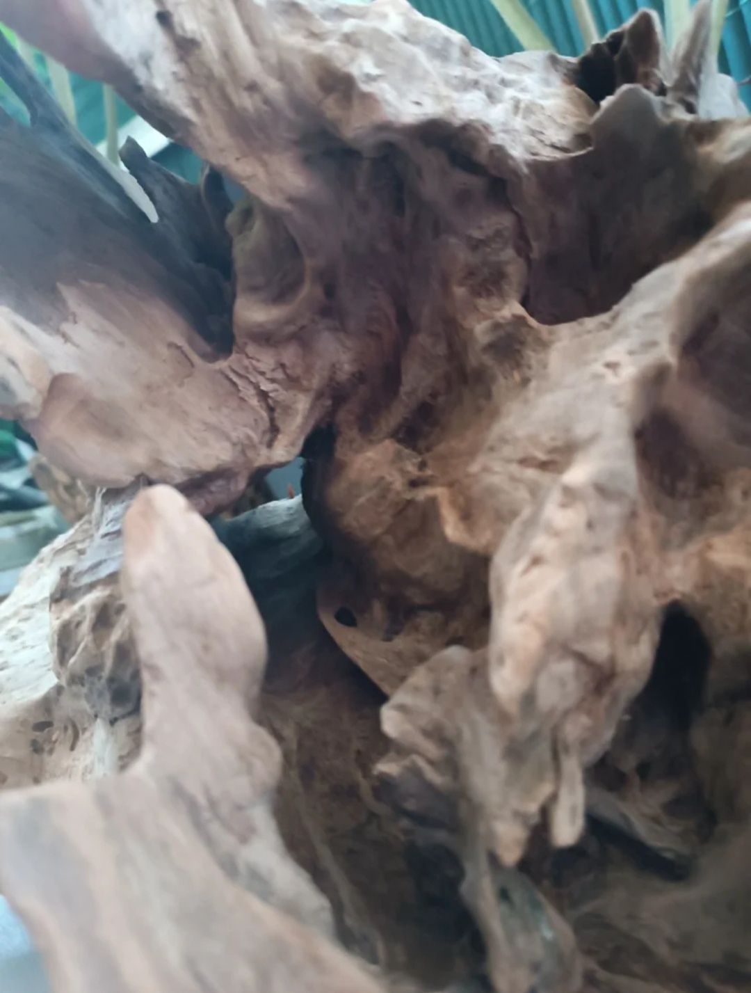 Tronco de aquário