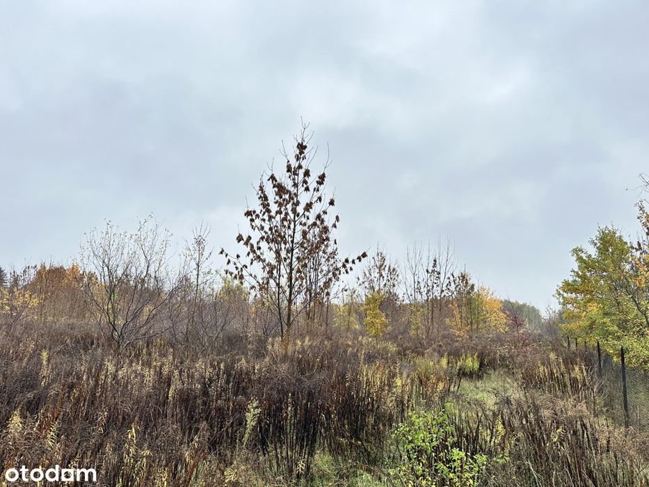 Działka 4070 m² z możliwością zabudowy