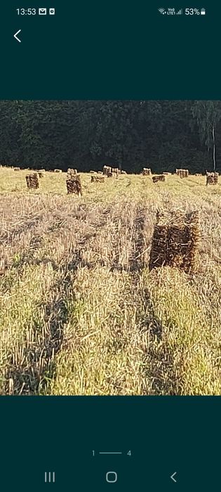 Sucha słoma w kostkach dla zwierząt