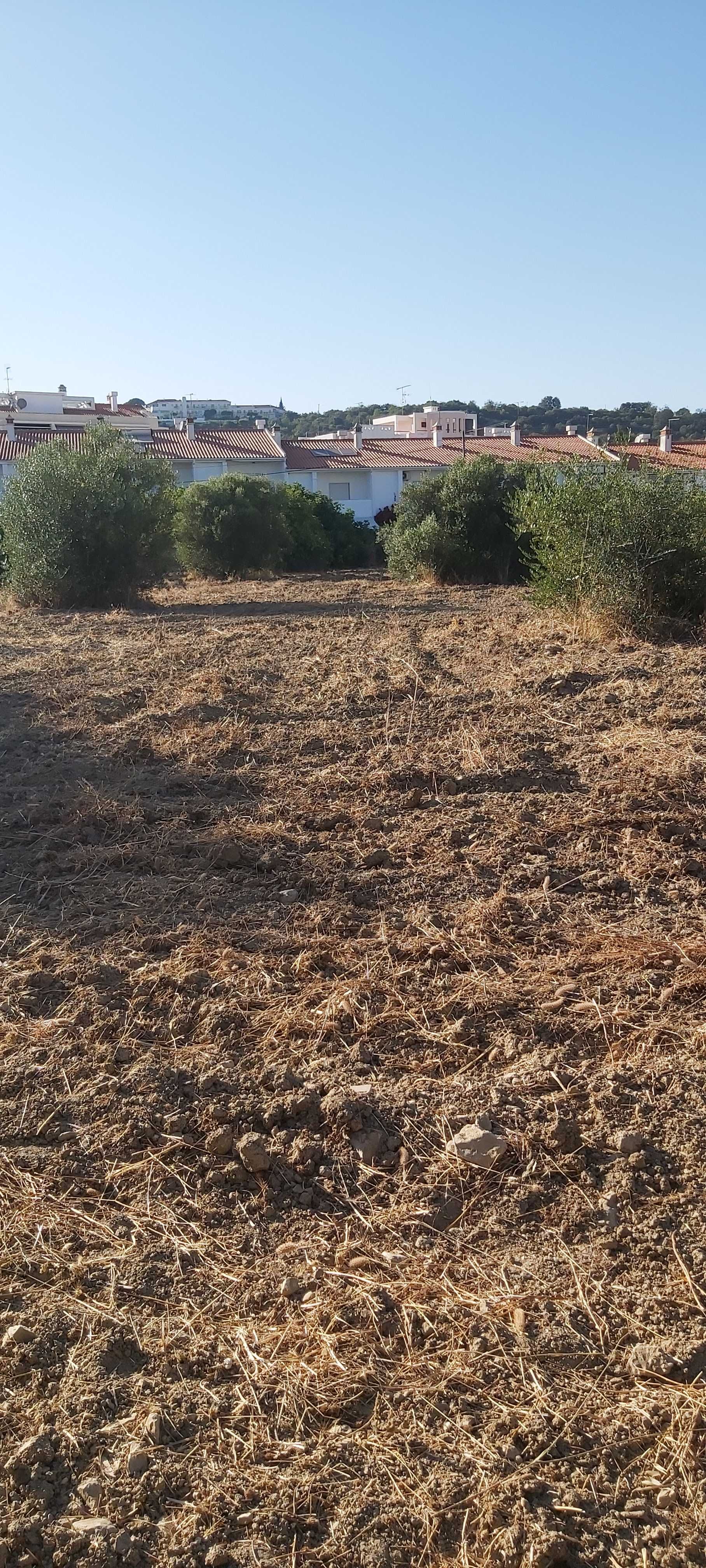 Oportunidade para passatempo de Agricultura no centro de S. Brás