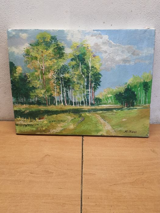 Obraz na płótnie Las szerokość 38cm wysokość 28.5 cm