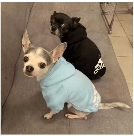 Roupa para cães - Hoodie Adidog