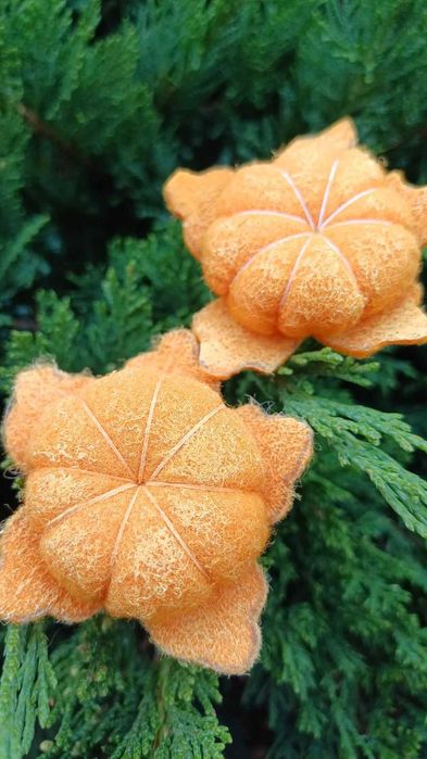 Муляжи фруктов и ягод, виноград, мандарин