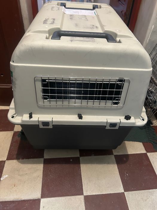 Caixa de transporte para cão 80x64 cm