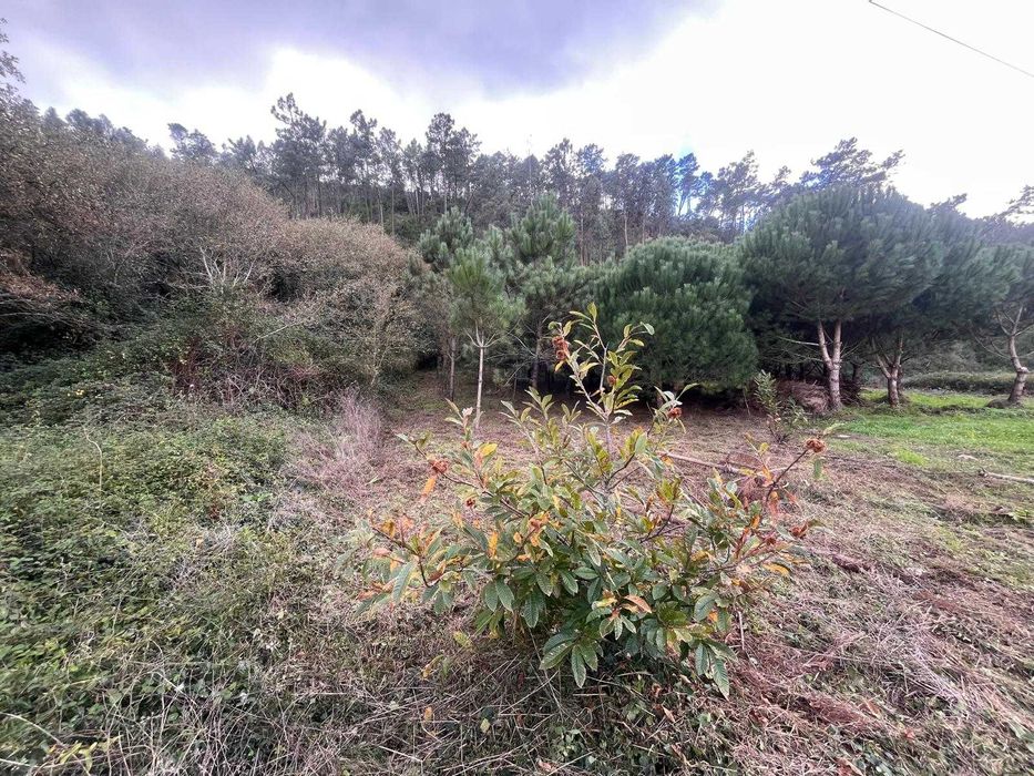Arrendo Terreno para cultivo e lazer