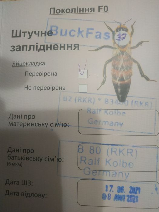 Продаються бджоломатки  Бакфост ,F1,F0.