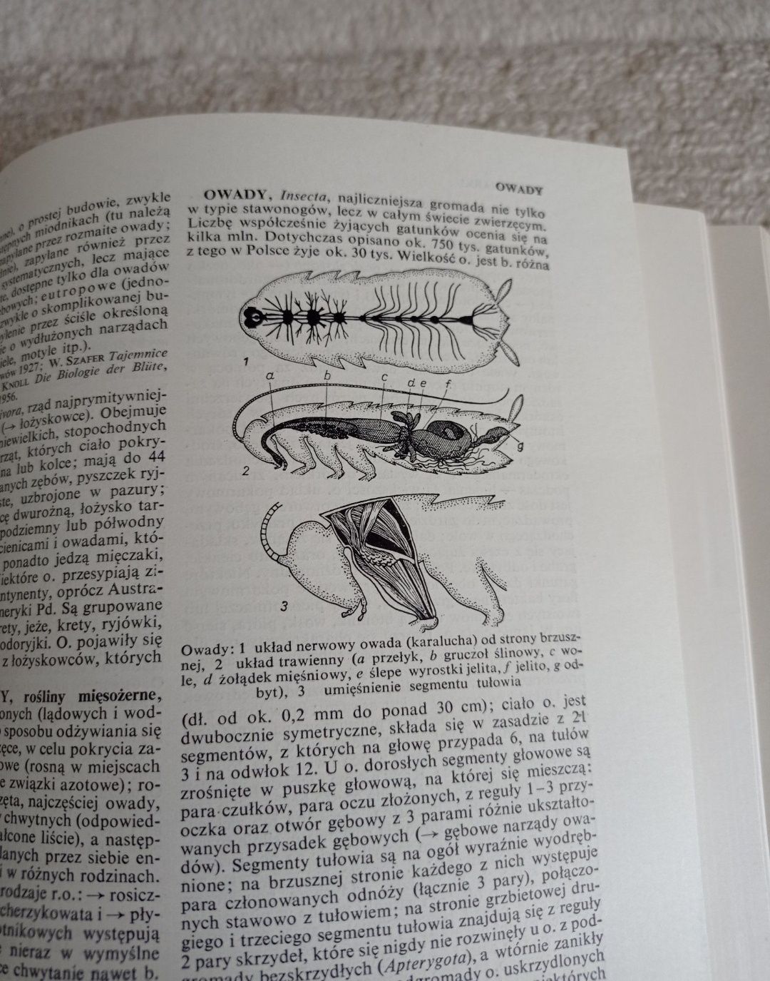 Wielka Encyklopedia Powszechna PWN Polska Encyklopedia Powszechna