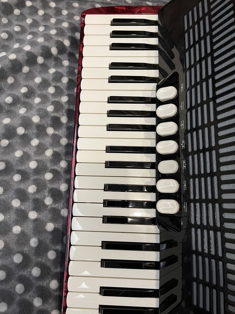 Akordeon Hohner Amica III 120 basów