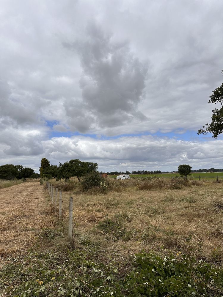 Terreno para venda 3 lotes 500m