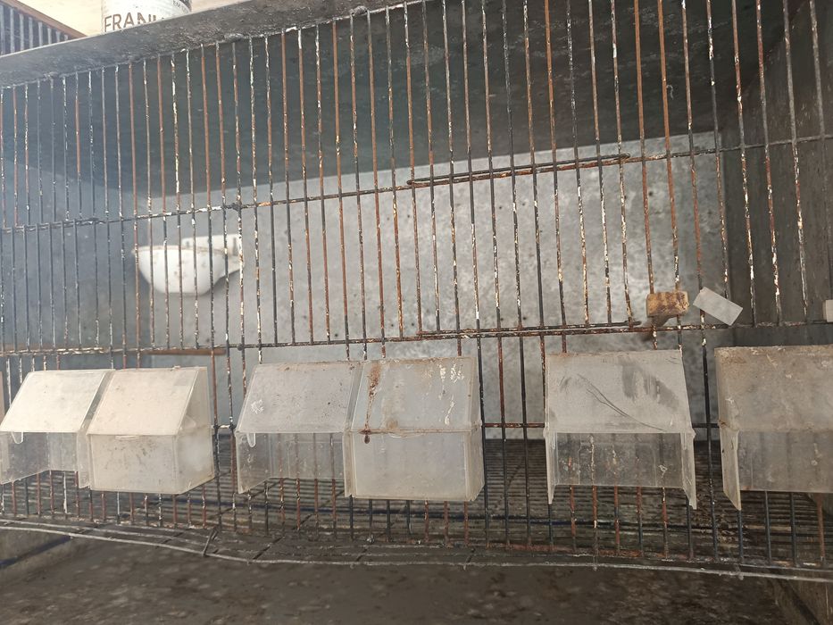 Vendo gaiola em chapa galvanizada