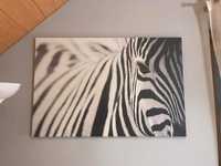 Obraz zebra ikea