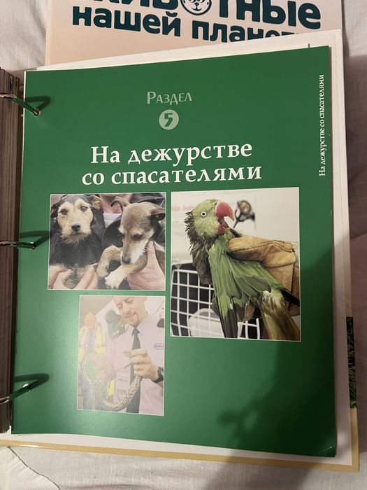 Набор журналов животные нашей планеты