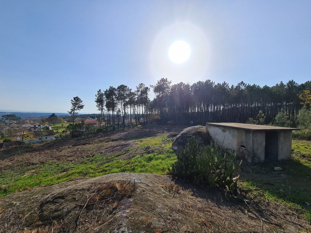 Terreno para Construção 5000m2 Santos Evos