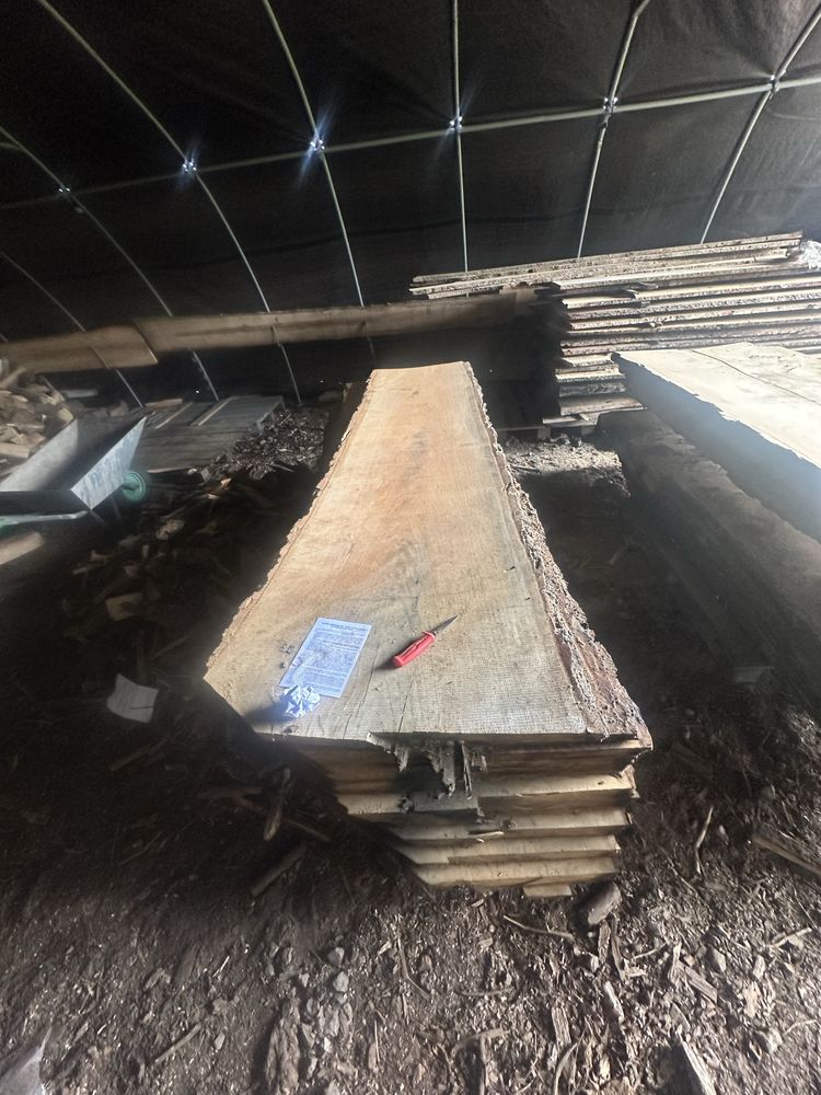 Deska blat debowy 5.5 cm i 3,5 cm szerokie