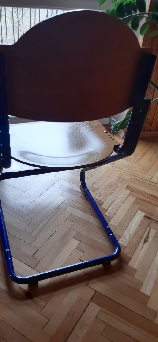 Krzesło MOLL buk z niebieskimi wykończeniami