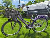 Batavus Diva rower miejski holenderski 7-12 lat kola 26