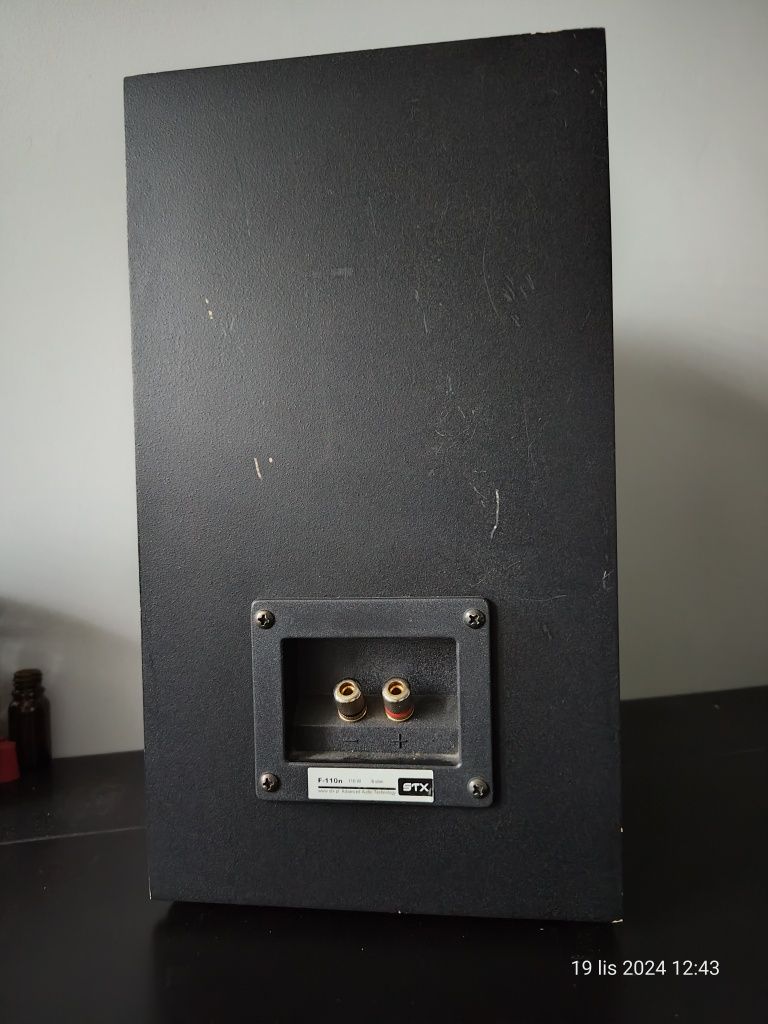Wzmacniacz audio "Fossil Audio V3" i kolumny "STX F-110n"
