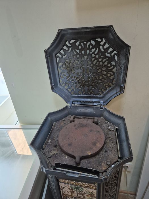 Salamandra antiga e rara