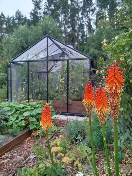 Projektowanie ogrodów, rabat, modernizacja ogrodu